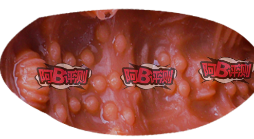 【宽松慢玩】TAISEN泰西丝飞机杯名器评测—阿B测评2 d2b5ca33bd193549