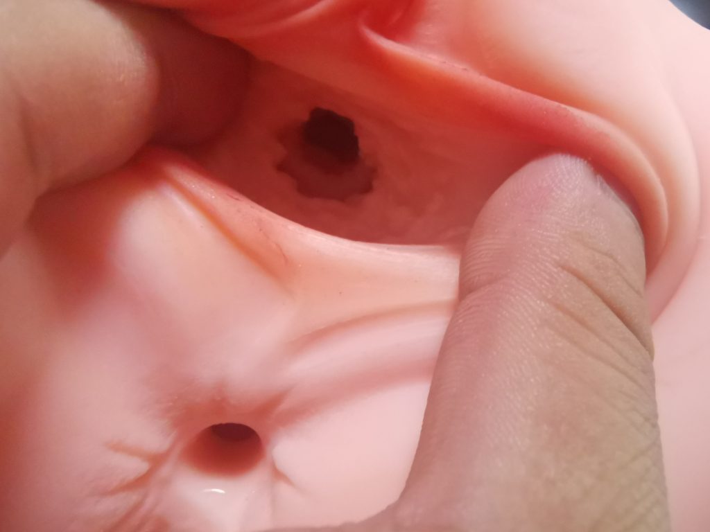 蒂娜的诱惑!忠实用户开箱测评8 4d5820bf7d151405