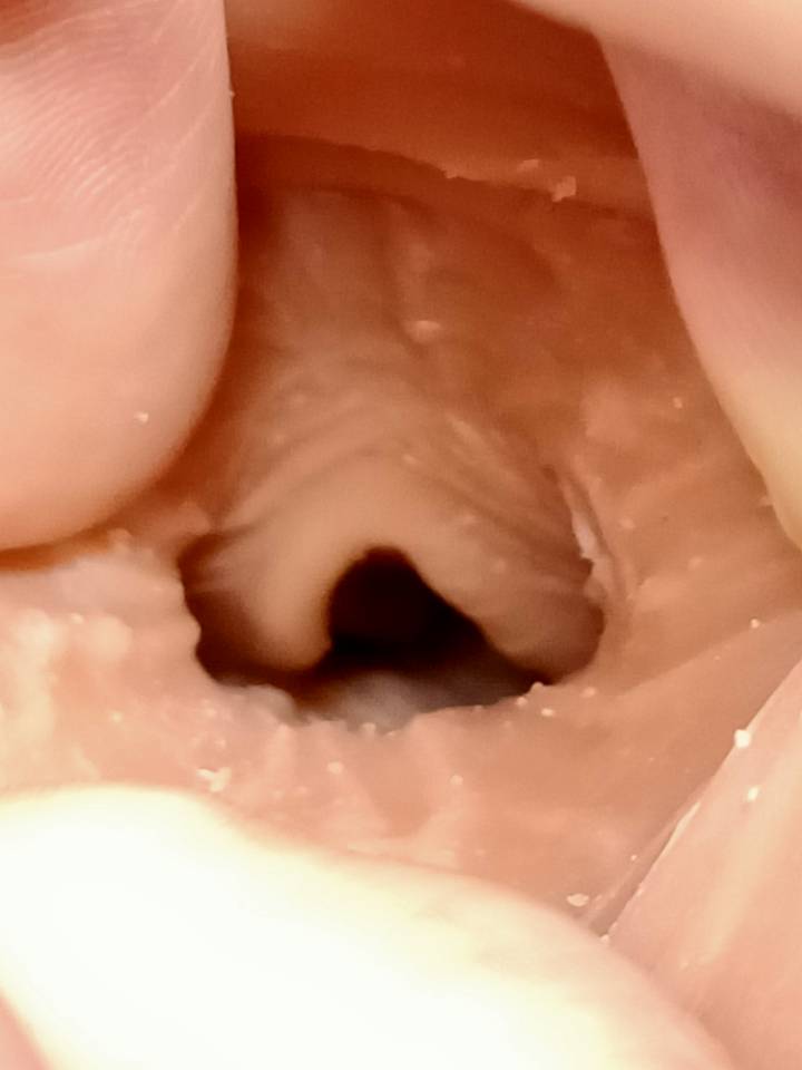 美国taisen-热辣美女“TAISEN赫拉飞机杯”名器测评11 2998bc5f96100543