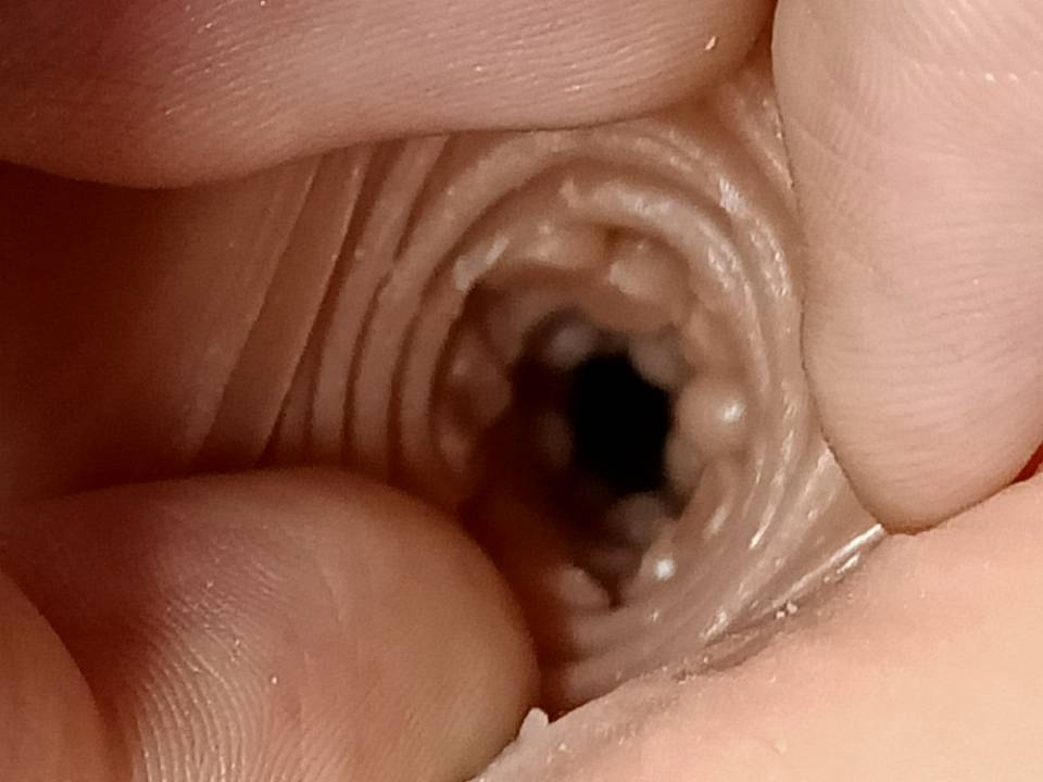 美国taisen-热辣美女“TAISEN赫拉飞机杯”名器测评12 d8e8f88ca8100600