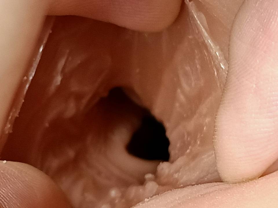 美国taisen-热辣美女“TAISEN赫拉飞机杯”名器测评10 3ba23c6cd3100600