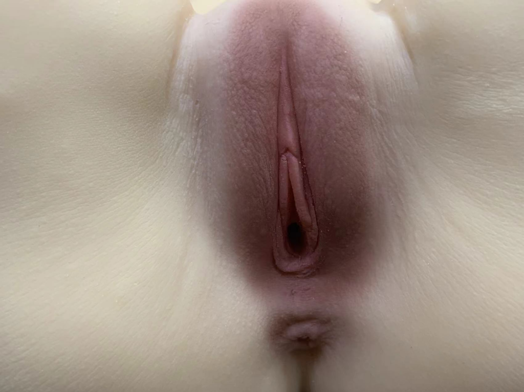 美国taisen屁股系列泰贝莎飞机杯推荐名器真人倒模飞机杯测评图文测评1 fb5c81ed3a111949