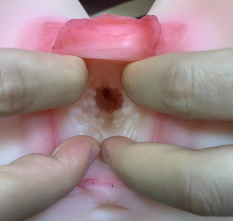 绝对震撼美国TAISEN美乳系列极上美乳大揭秘飞机杯推荐飞机杯测评2 10fb15c772181436