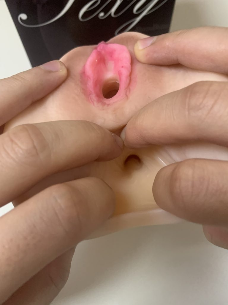 taisen蕾娜斯真实倒模飞机杯的实际使用体验分享3 8266e4bfed140139