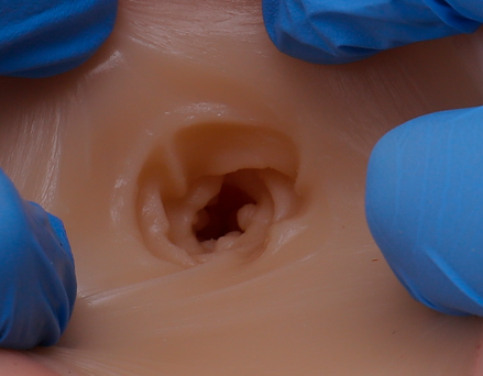 KUKI芽子臀飞机杯评测:850g小翘臀慢玩神器!萌新入坑首选3 bd59939a58121326