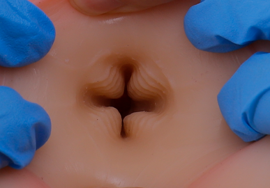 KUKI芽子臀飞机杯评测:850g小翘臀慢玩神器!萌新入坑首选2 7a44d0e9be121326