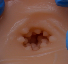 KUKI芽子臀飞机杯评测:850g小翘臀慢玩神器!萌新入坑首选5 435858f735121326