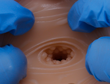 KUKI芽子臀飞机杯评测:850g小翘臀慢玩神器!萌新入坑首选4 a5b3cfd568121326