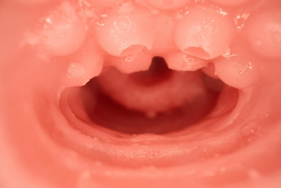 【开箱实测】粉色的盒子，蓝色的头发兽耳萌妹一小只