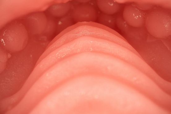 【开箱实测】粉色的盒子，蓝色的头发兽耳萌妹一小只