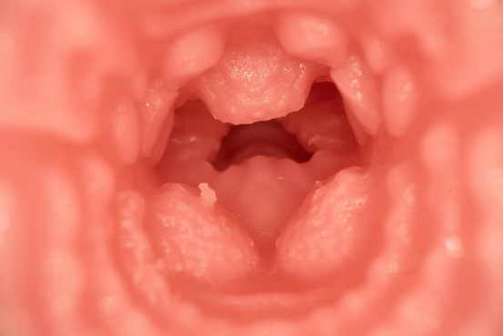 【开箱实测】粉色的盒子，蓝色的头发兽耳萌妹一小只