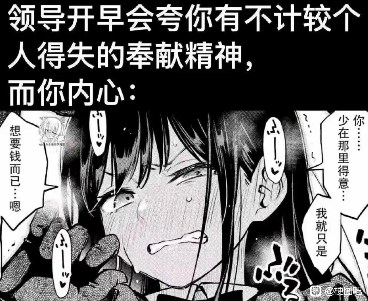 新手飞机杯推荐选购建议,帮你避开一些常见雷区