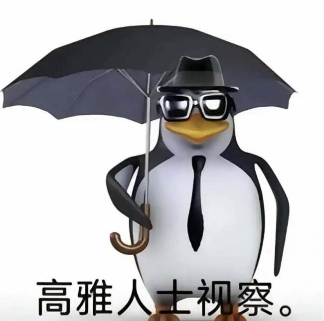 从小杯到大身体,玩了几年才知道哪些钱该花、哪些坑能避 高雅人士企鹅表情包