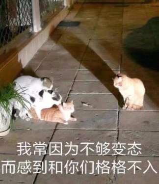 “不会物理的蠕虫怪不是一个好旗袍娘(大雾)”— 旗袍娘(中刺激)评测5 “不会物理的蠕虫怪不是一个好旗袍娘(大雾)”— 旗袍娘(中刺激)评测5