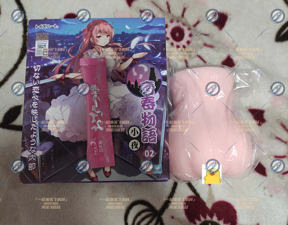 “和你的青春恋爱物语果然没有问题”— 青春物语-小夜（中刺激）评测1