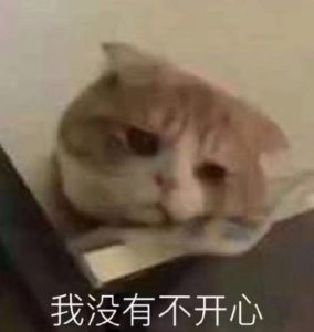 “我不看这些的.jpg”— exe 桥本有菜评测5 “我不看这些的.jpg”— exe 桥本有菜评测5