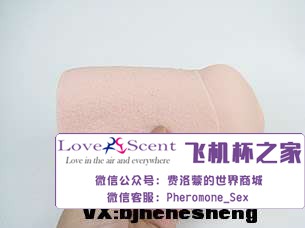 日本Ride Japan VDD动漫名器高肉厚包裹二次元男用飞机杯实测5