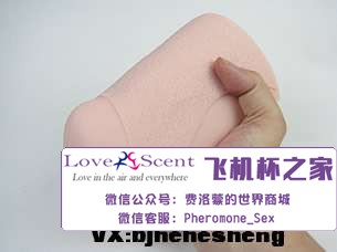 日本Ride Japan VDD动漫名器高肉厚包裹二次元男用飞机杯实测7