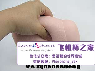 日本Ride Japan VDD动漫名器高肉厚包裹二次元男用飞机杯实测10 日本Ride Japan VDD动漫名器高肉厚包裹二次元男用飞机杯实测10