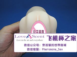 日本进口npg名器证明008飞机杯阴臀倒模实测9