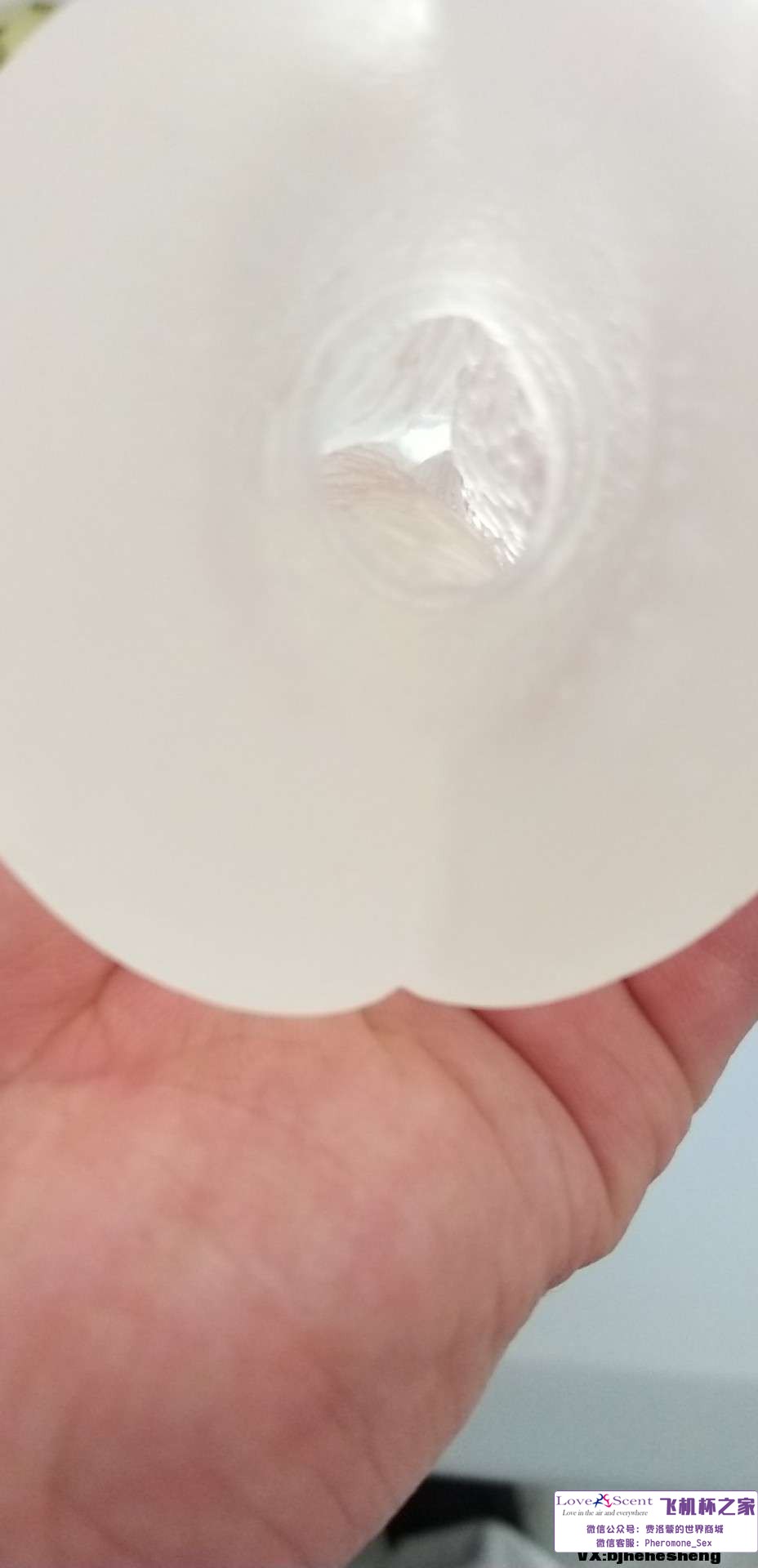 日本Ride Japan三位一体动漫名器撸飞机杯实测8