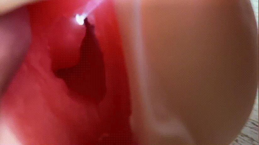 蜜莉酱|诱惑来袭,是个男人都顶不住啊!20 蜜莉酱|诱惑来袭,是个男人都顶不住啊!20