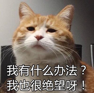 灰姑凉测评1 灰姑凉测评1