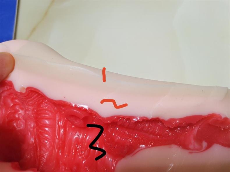 灰姑凉测评6 灰姑凉测评6