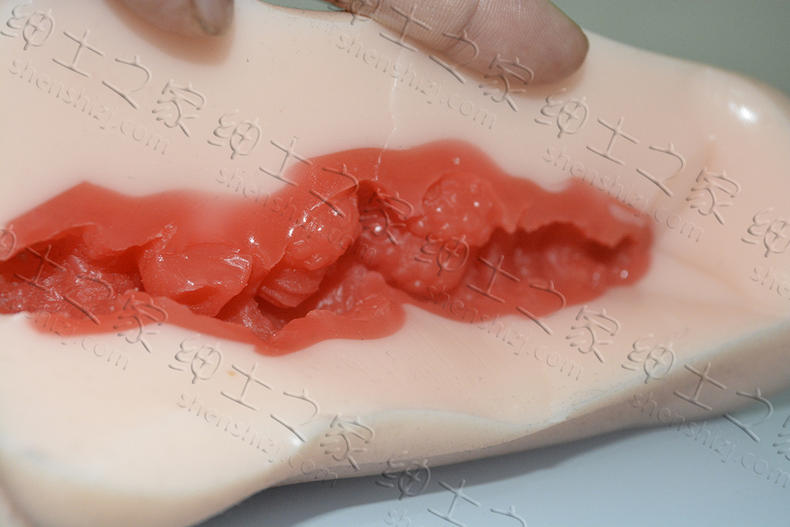 白天与黑夜的刺激感，你的真爱蜜莉酱测评5