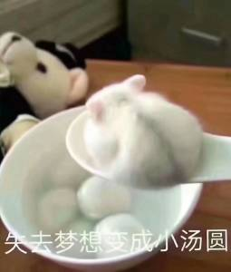 YUU柔臀似水倒模名器评测 – 果冻材质的臀19 YUU柔臀似水倒模名器评测 – 果冻材质的臀19