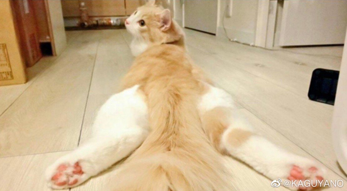 国产kaguyano千岛酱飞机杯名器评测 – 还有COS福利9 国产kaguyano千岛酱飞机杯名器评测 – 还有COS福利9