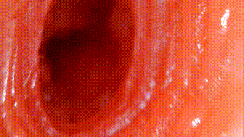 TMT“彼女姐姐”飞机杯评测 – 我拿下女神的秘诀就是它！11