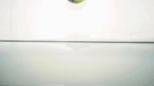 “逗豆鸟”我们大胆的寻找身体的快乐20 “逗豆鸟”我们大胆的寻找身体的快乐20