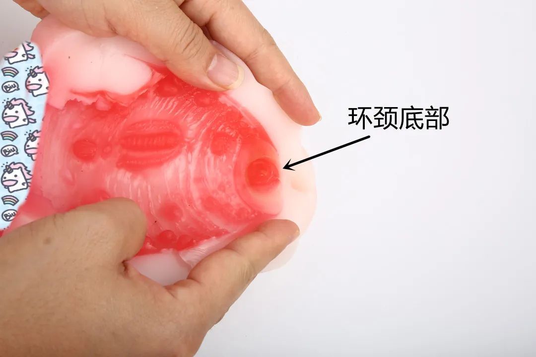 NPG-熟女星-市川京子飞机杯6 NPG-熟女星-市川京子飞机杯6