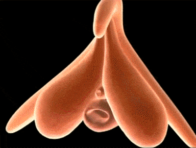 玩具测评:诱魅芒果派脉冲吮吸跳蛋10 玩具测评:诱魅芒果派脉冲吮吸跳蛋10