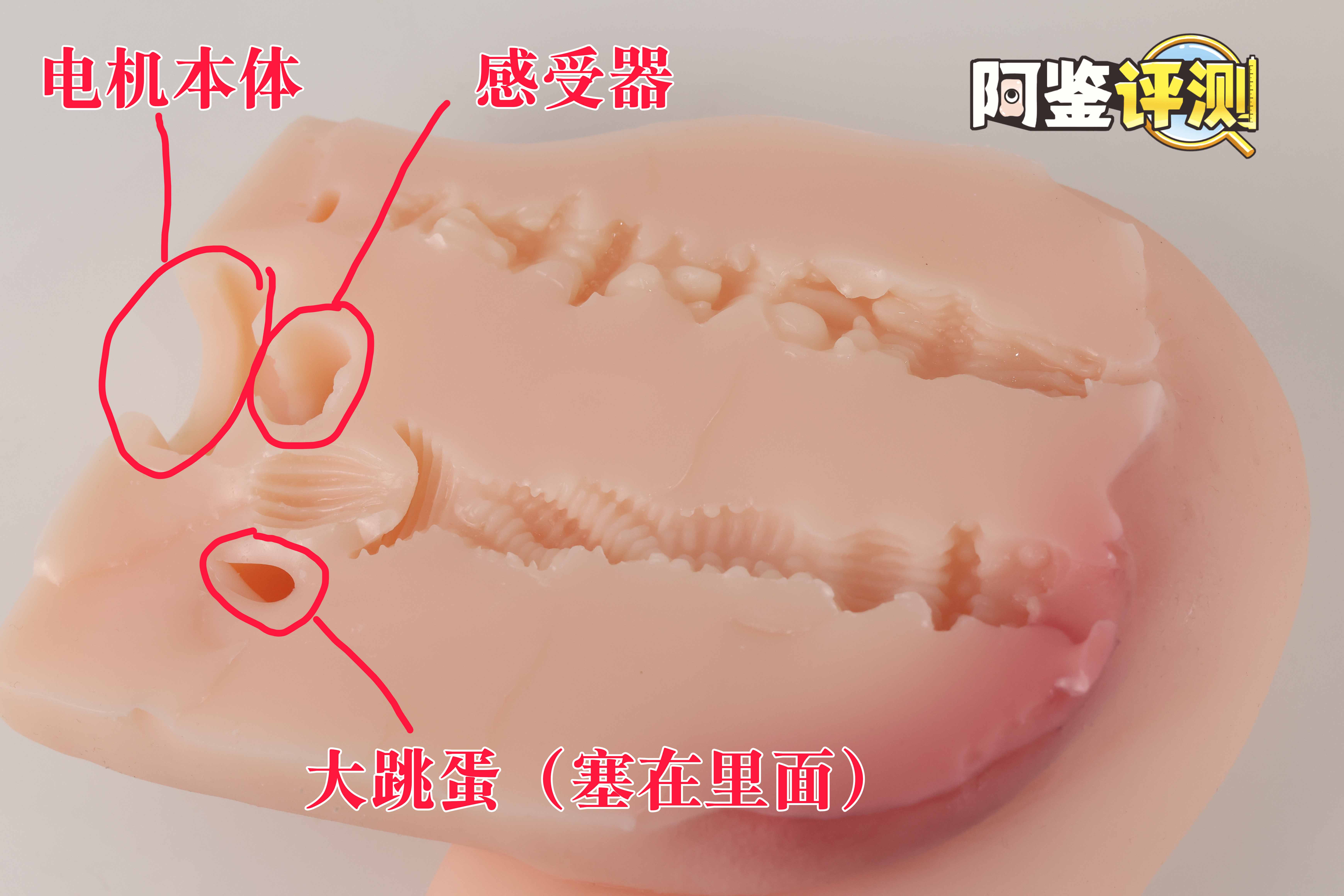 趣网COC——“杯魔女”评测!屁股就是用来拍的!爆笑流“抖动”臀模!18 趣网COC——“杯魔女”评测!屁股就是用来拍的!爆笑流“抖动”臀模!18