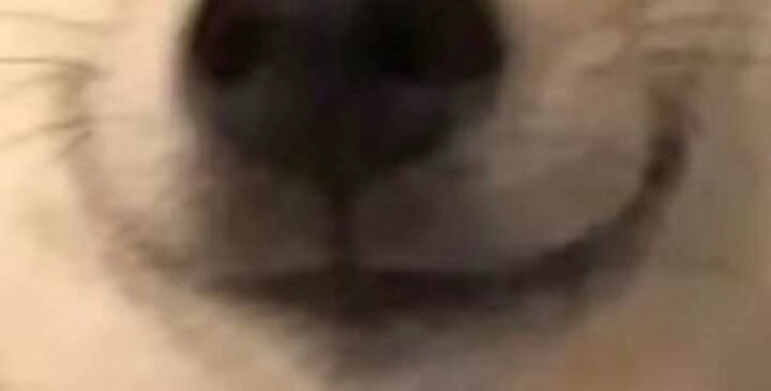 YUU启蒙先辈飞机杯测评 – 明明只是一转眼就过去了,可我却觉得过了一辈子5 YUU启蒙先辈飞机杯测评 – 明明只是一转眼就过去了,可我却觉得过了一辈子5