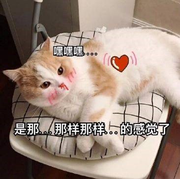 YUU宫花之尻倒模名器评测 – 全新的倒模全新的体验7 YUU宫花之尻倒模名器评测 – 全新的倒模全新的体验7