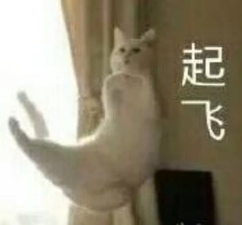 YUU虎牙妹妹飞机杯评测 – 鬼才设计师的虎牙创意6 YUU虎牙妹妹飞机杯评测 – 鬼才设计师的虎牙创意6