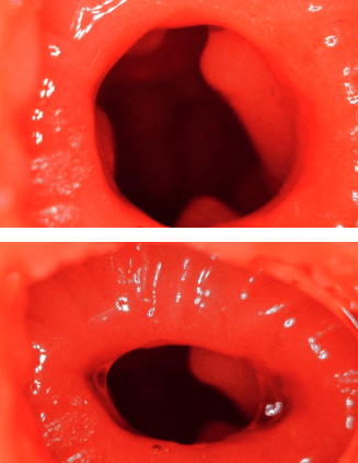 YUU 小优物语飞机杯 – 来自一个素人老哥的投稿,非常详细,可当新手教程!24 YUU 小优物语飞机杯 – 来自一个素人老哥的投稿,非常详细,可当新手教程!24