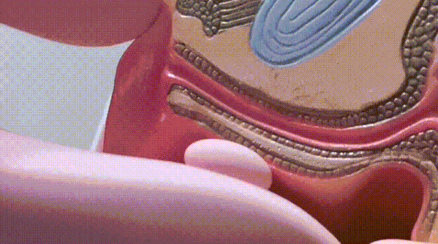 男女必学的指法 ,潮吹湿了床单……5 男女必学的指法 ,潮吹湿了床单……5