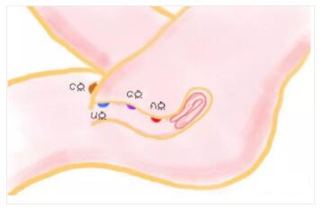 让她高潮迭起的口爱技巧竟然是它6 让她高潮迭起的口爱技巧竟然是它6