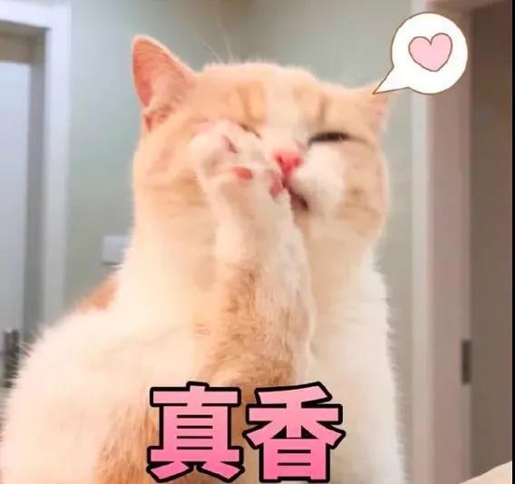 仙女测评┃派蒂菈穿戴小玩具6 仙女测评┃派蒂菈穿戴小玩具6