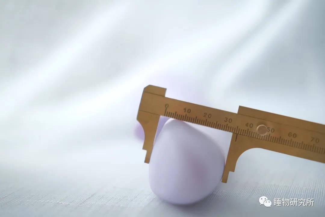 玩具测评Vol.40:TITILLO萌芽3 玩具测评Vol.40:TITILLO萌芽3