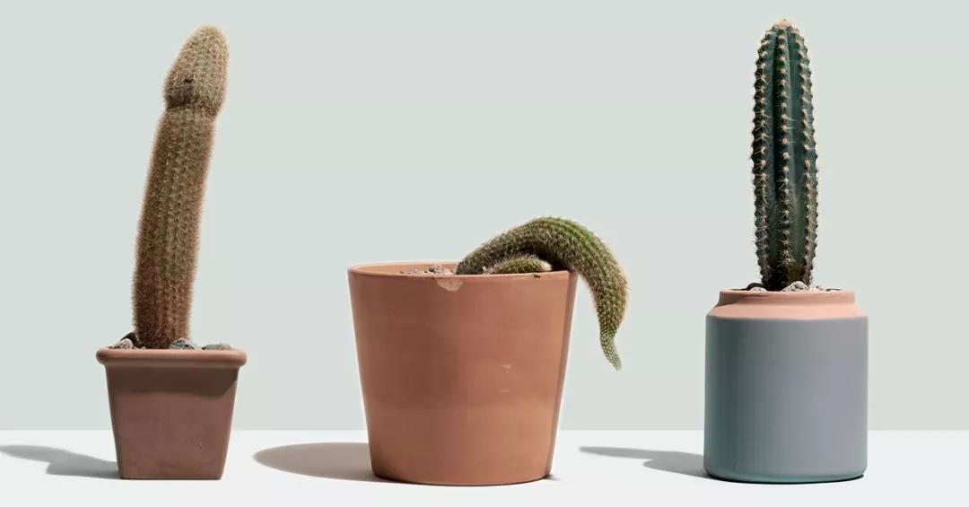 什么形状的丁丁最受姐妹们青睐? TITILLO 勺子震动棒2 什么形状的丁丁最受姐妹们青睐? TITILLO 勺子震动棒2