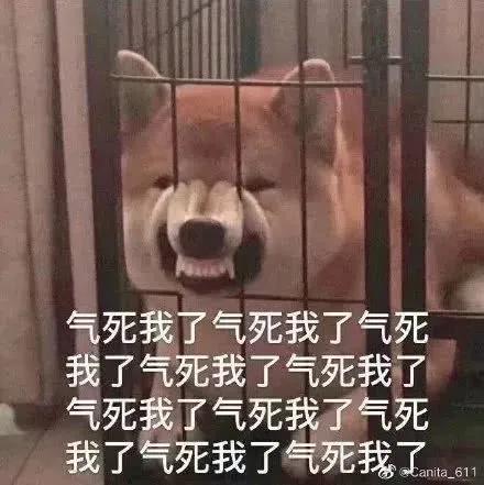 惊了!一个勺子竟然能让人嗨爽连连……TITILLO2 惊了!一个勺子竟然能让人嗨爽连连……TITILLO2