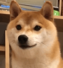 ROMPFlip艾薇棒测评5 ROMPFlip艾薇棒测评5