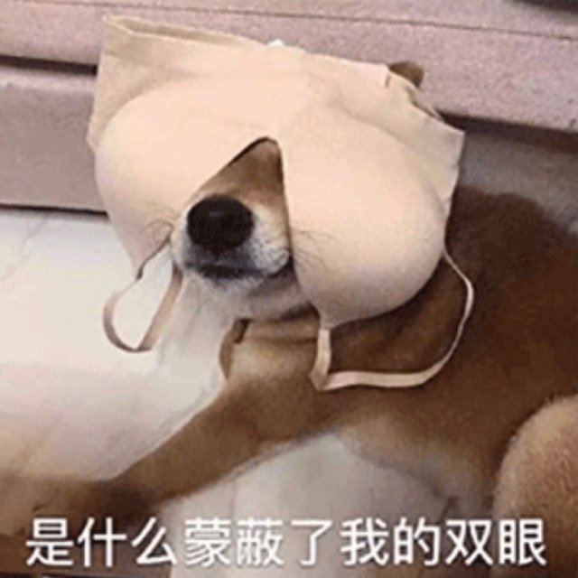 ROMPFlip艾薇棒测评7 ROMPFlip艾薇棒测评7