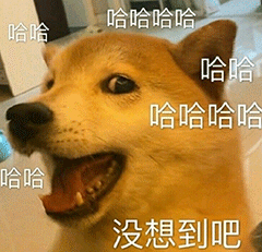 ROMPFlip艾薇棒测评9 ROMPFlip艾薇棒测评9