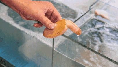 日本枫花恋名器倒模飞机杯测评21 日本枫花恋名器倒模飞机杯测评21